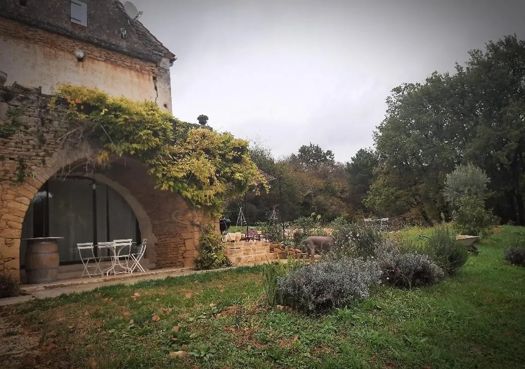 Charmant studio dans maison d'hôte dans un écrin de verdure Saint-Martin-le-Redon