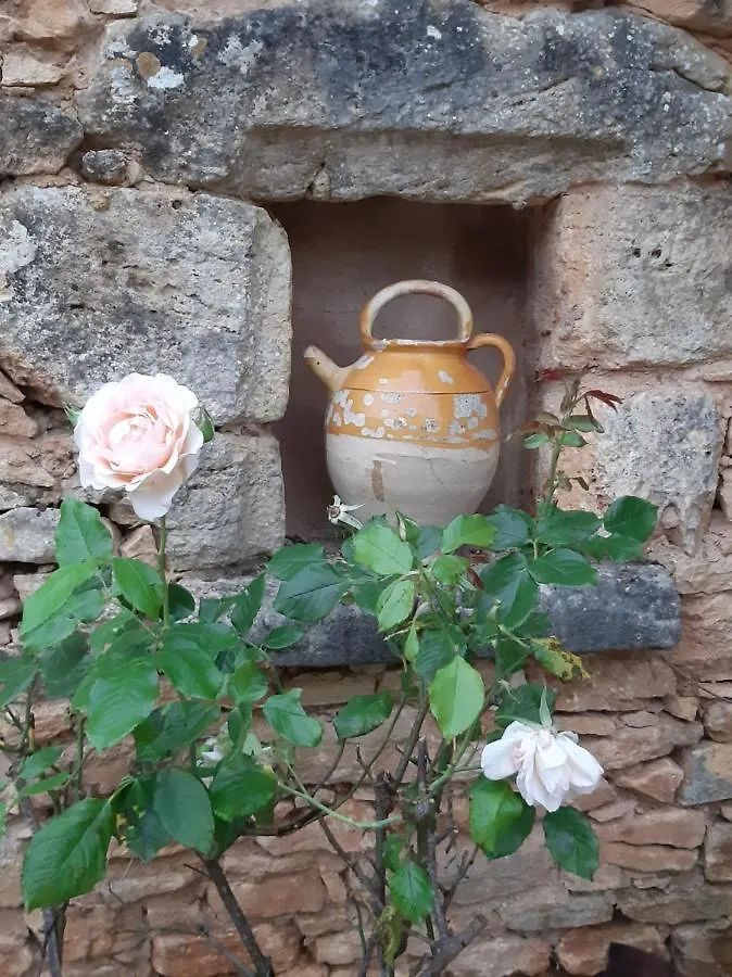 Hébergement de vacances Charmant studio dans maison d'hôte dans un écrin de verdure Saint-Martin-le-Redon